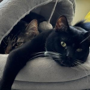 Meet your Posher, Tatiana